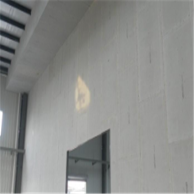 贵州宁波ALC板|EPS加气板隔墙与混凝土整浇联接的实验研讨